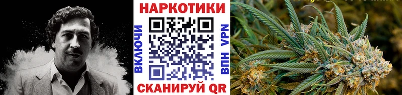 Виды наркотиков купить Руза КОКАИН  Меф мяу мяу  Псилоцибиновые грибы  Конопля  Амфетамин 