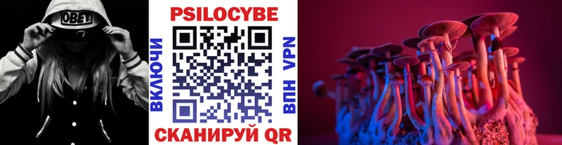 Галлюциногенные грибы мицелий  Руза 